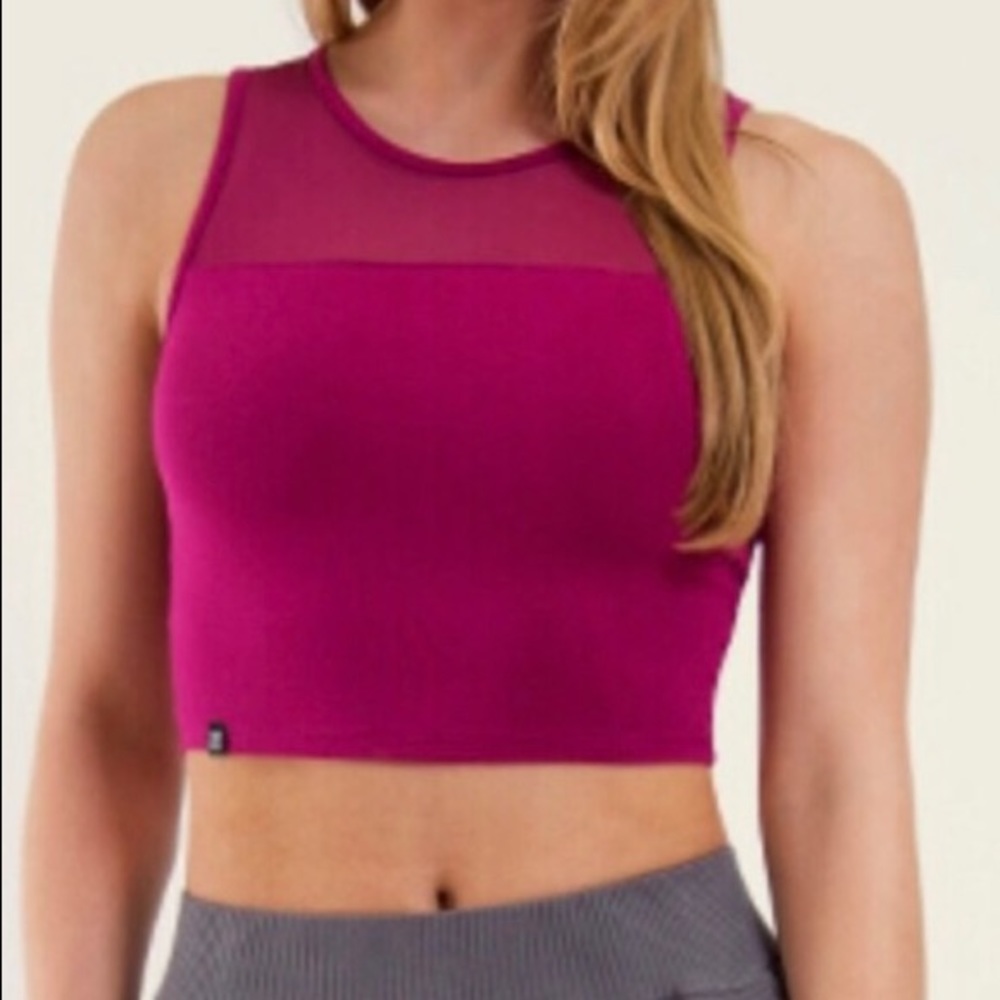 Popular Sugar & Bruno Stretch Mesh Crop Top - Picture 2 of 7